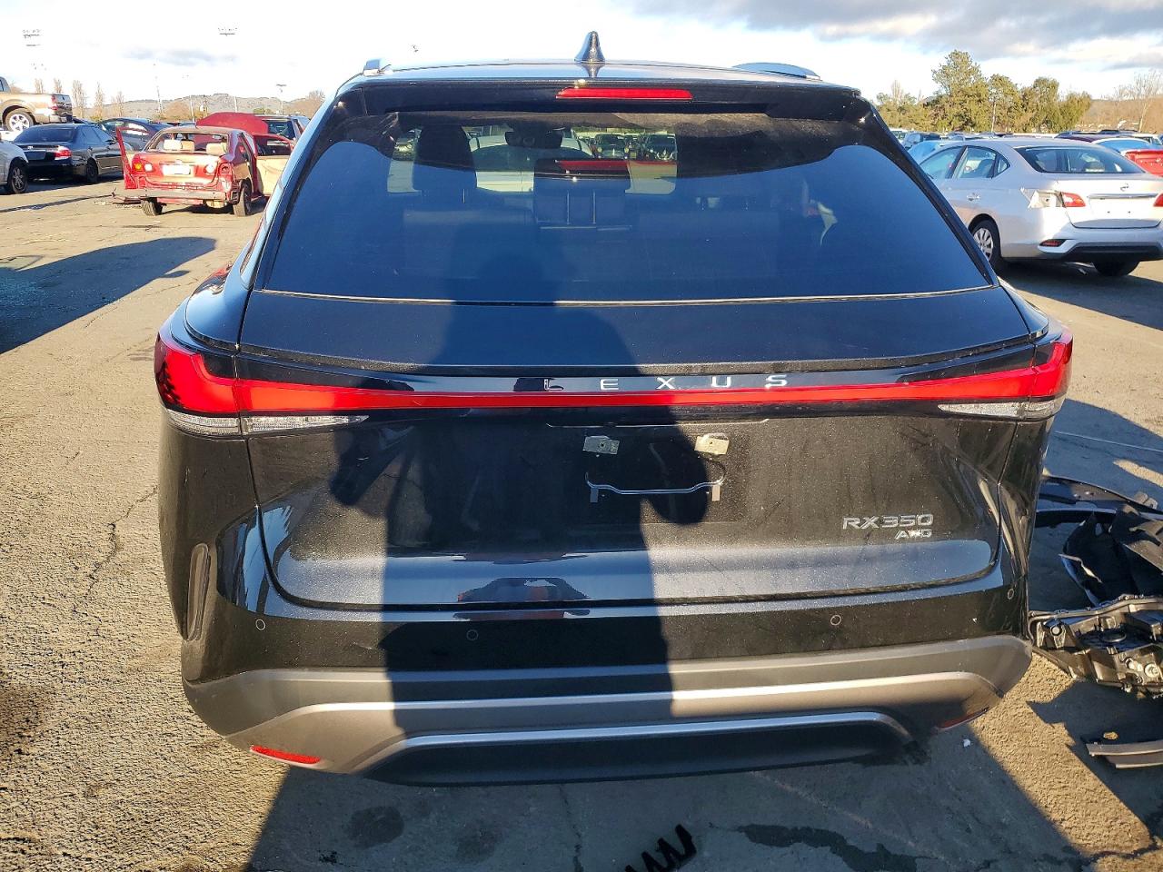 2025 LEXUS RX 350 BASE photo 6