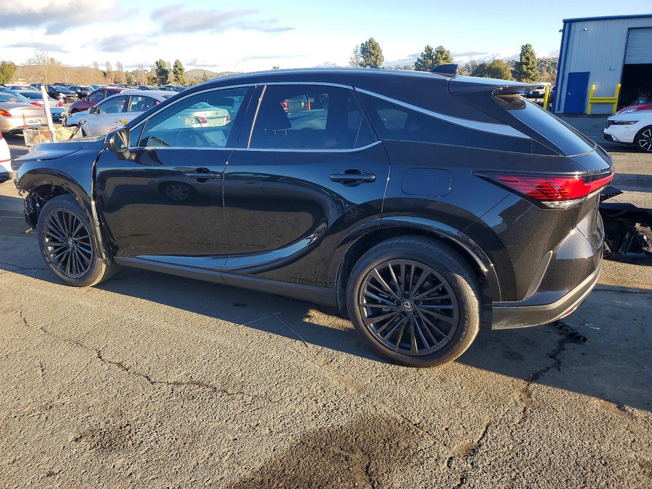 2025 LEXUS RX 350 BASE photo 2