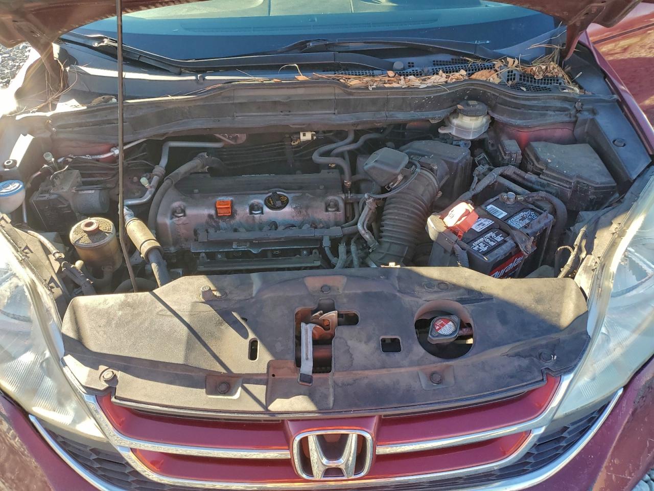 2010 HONDA CR-V EXL photo 12