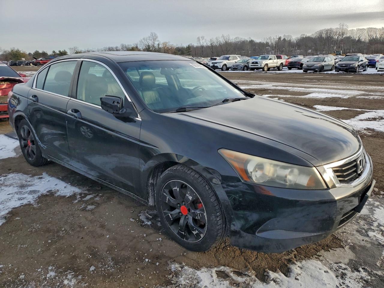 2010 HONDA ACCORD EXL photo 7
