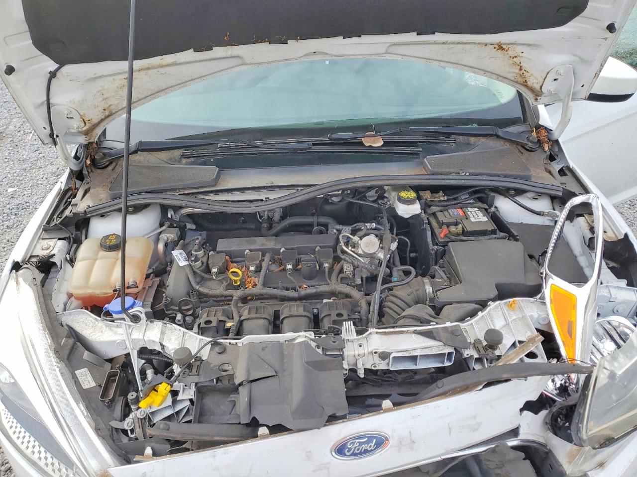 2018 FORD FOCUS SE photo 11
