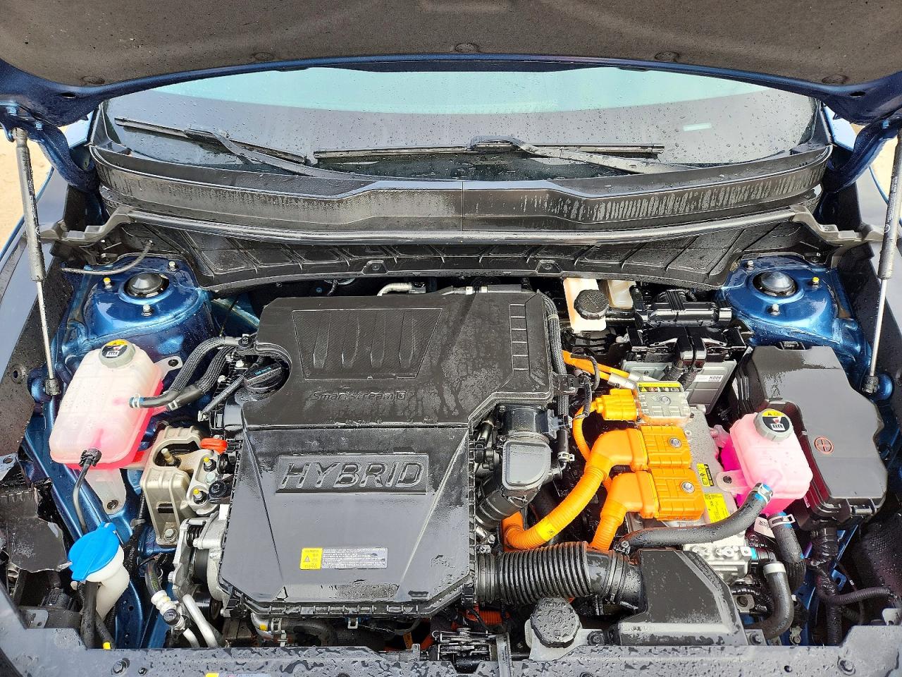 2023 KIA NIRO EX photo 11