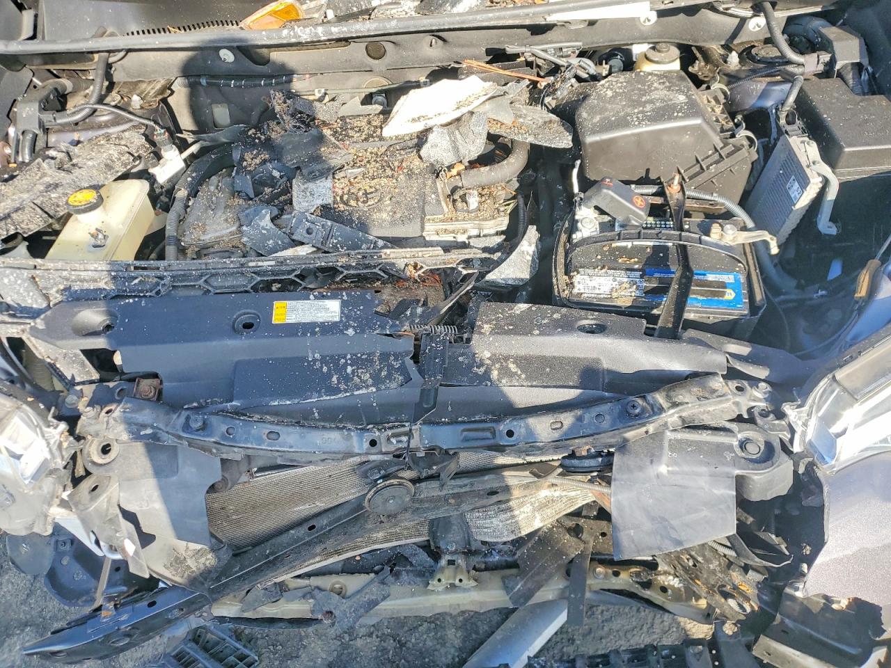 2016 TOYOTA RAV4 SE photo 12