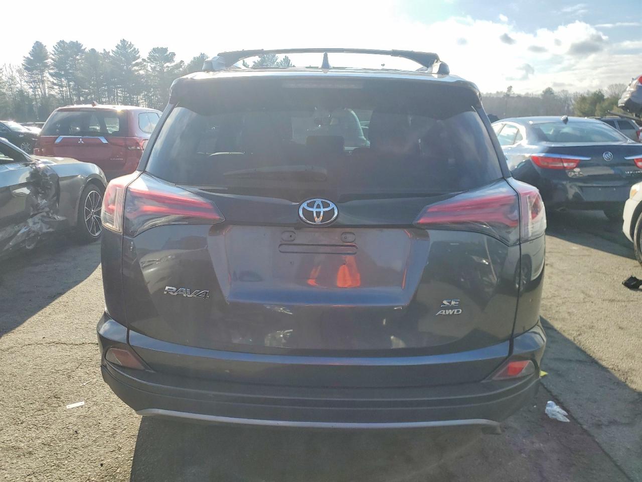 2016 TOYOTA RAV4 SE photo 6