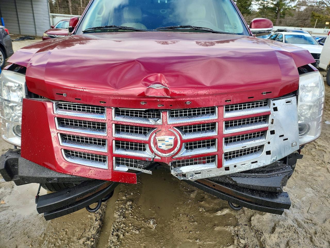 2008 CADILLAC ESCALADE LUXURY photo 12