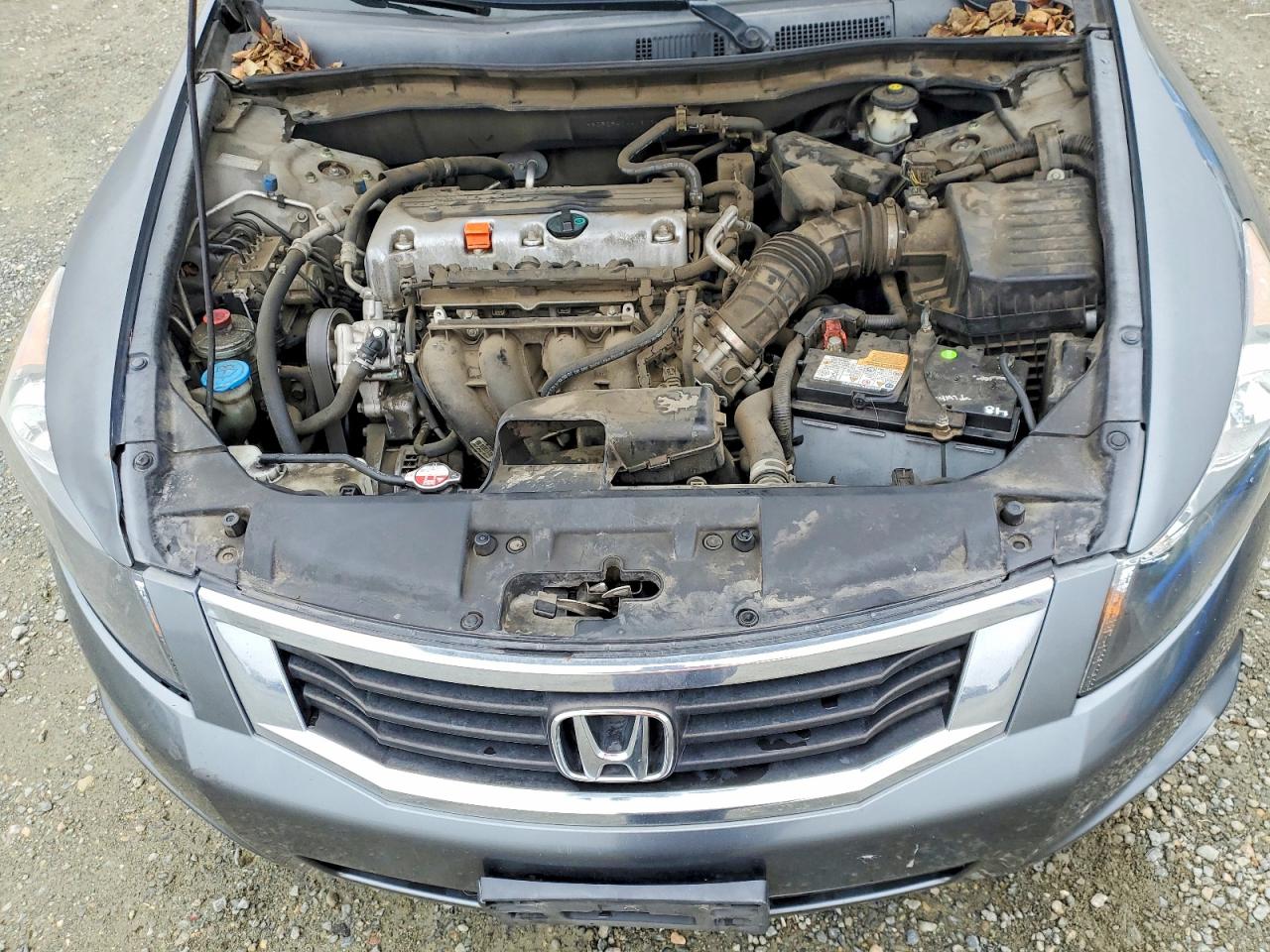 2010 HONDA ACCORD LXP photo 11