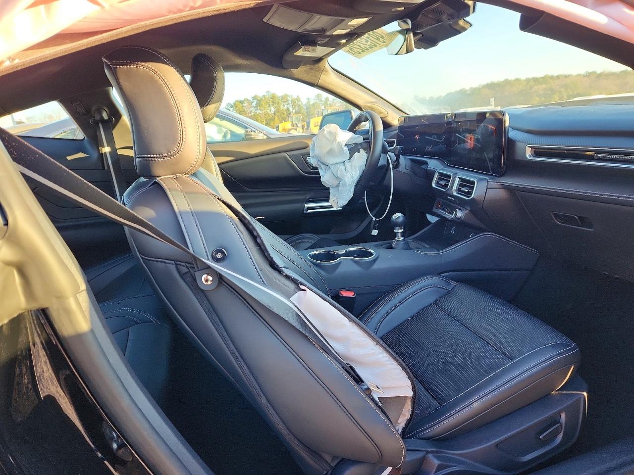 2025 FORD MUSTANG GT photo 10