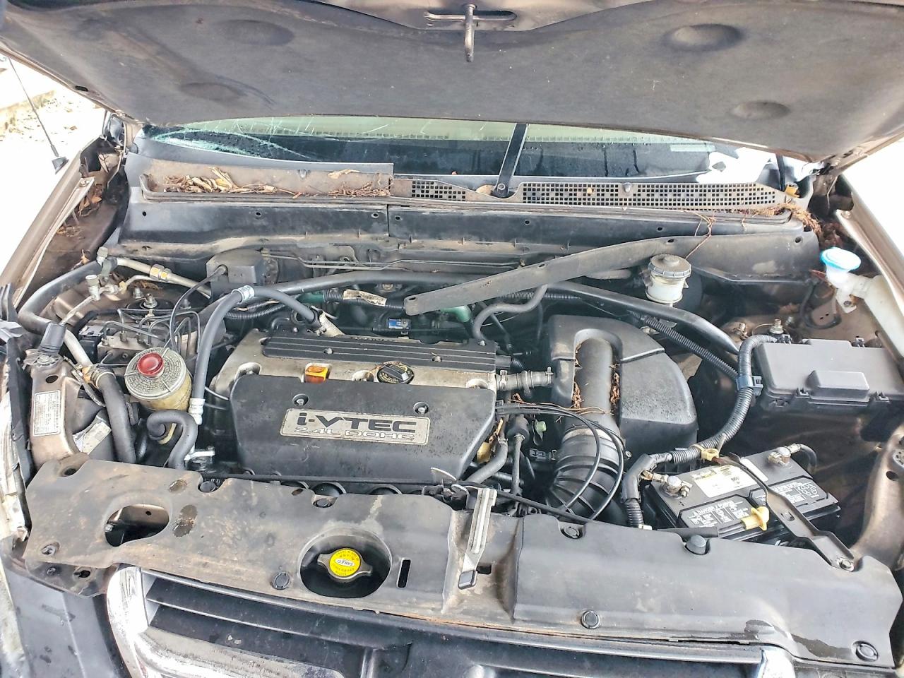 2002 HONDA CR-V EX photo 11