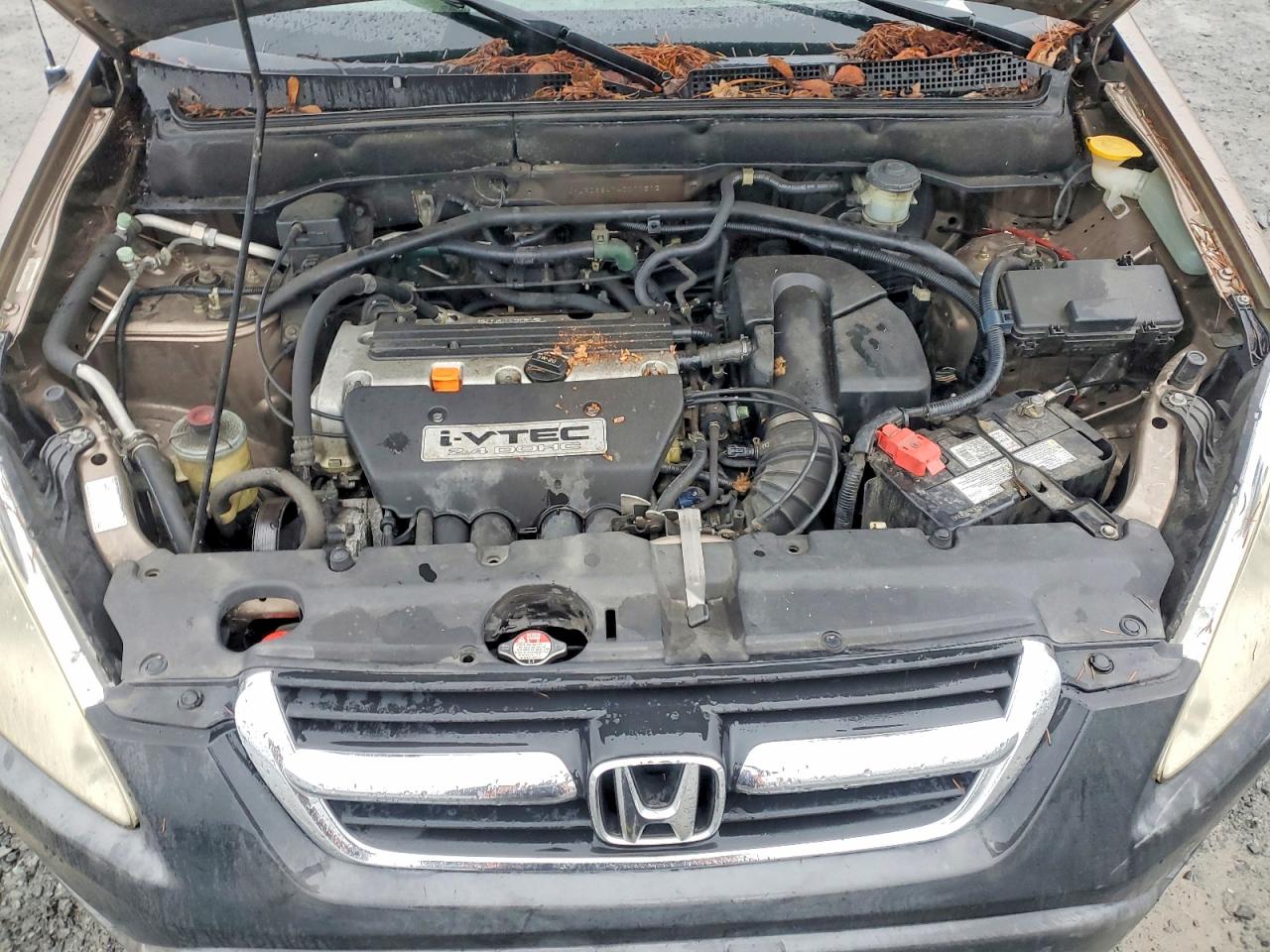 2004 HONDA CR-V LX photo 12