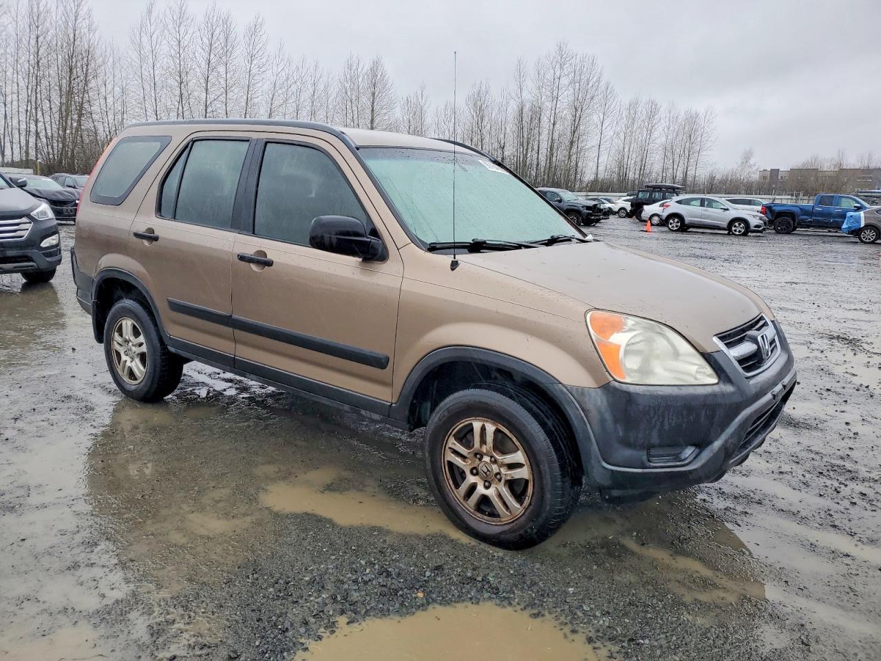 2004 HONDA CR-V LX photo 4