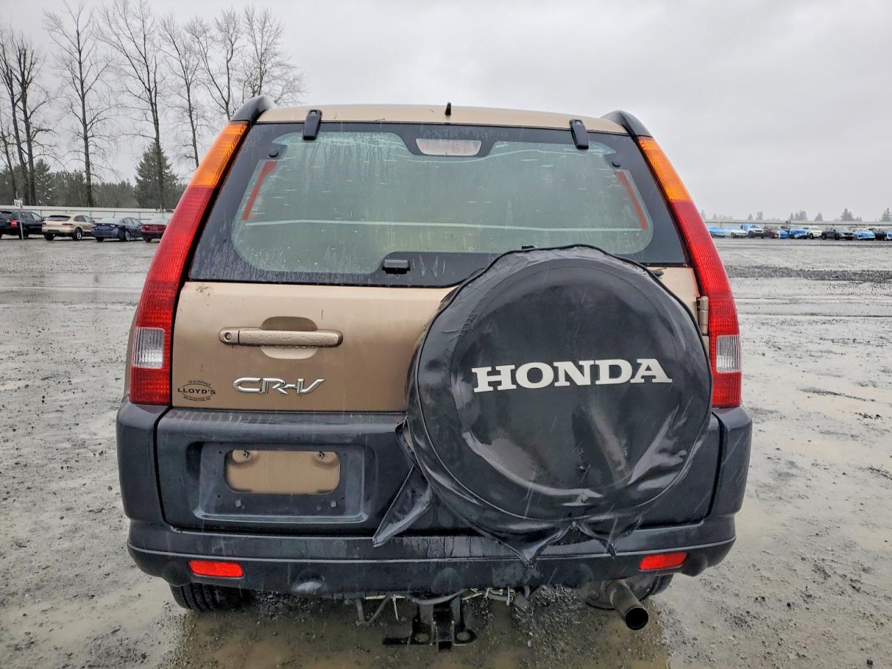 2004 HONDA CR-V LX photo 6