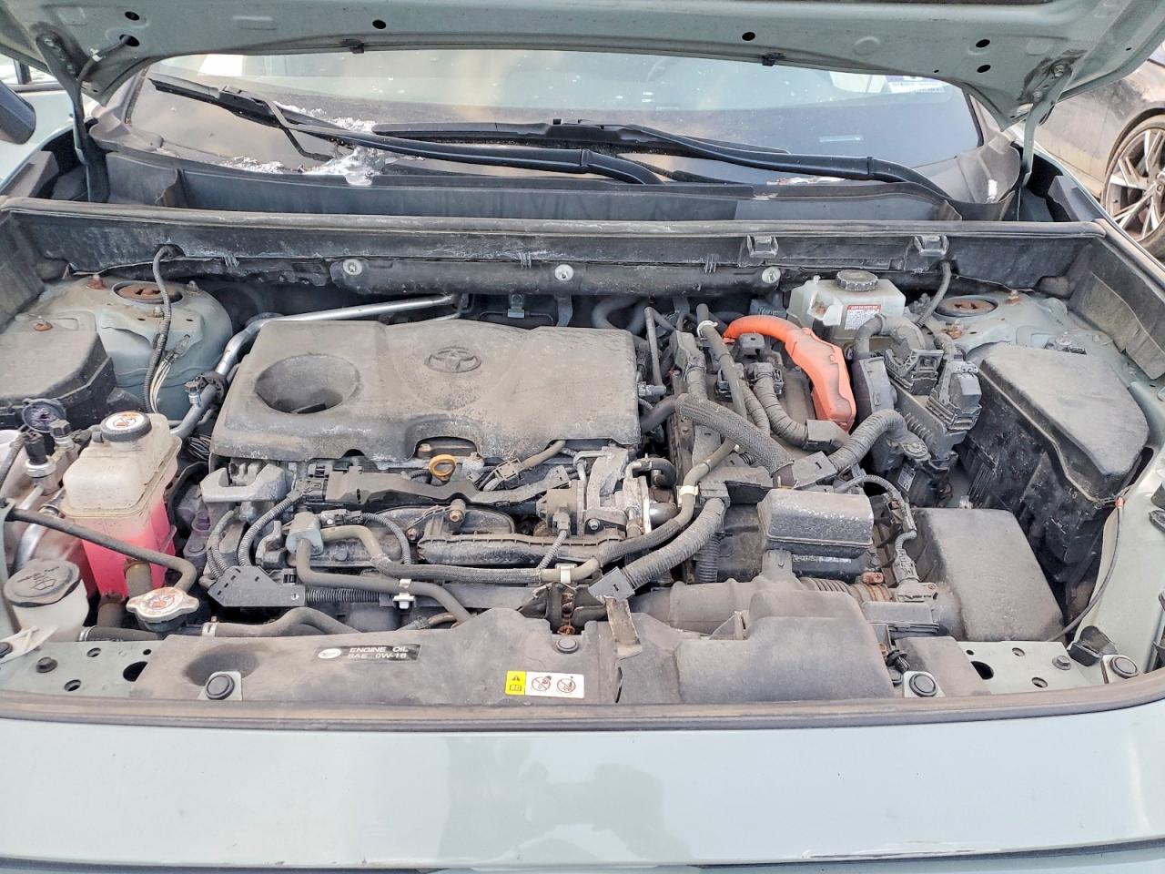 2019 TOYOTA RAV4 XLE photo 12