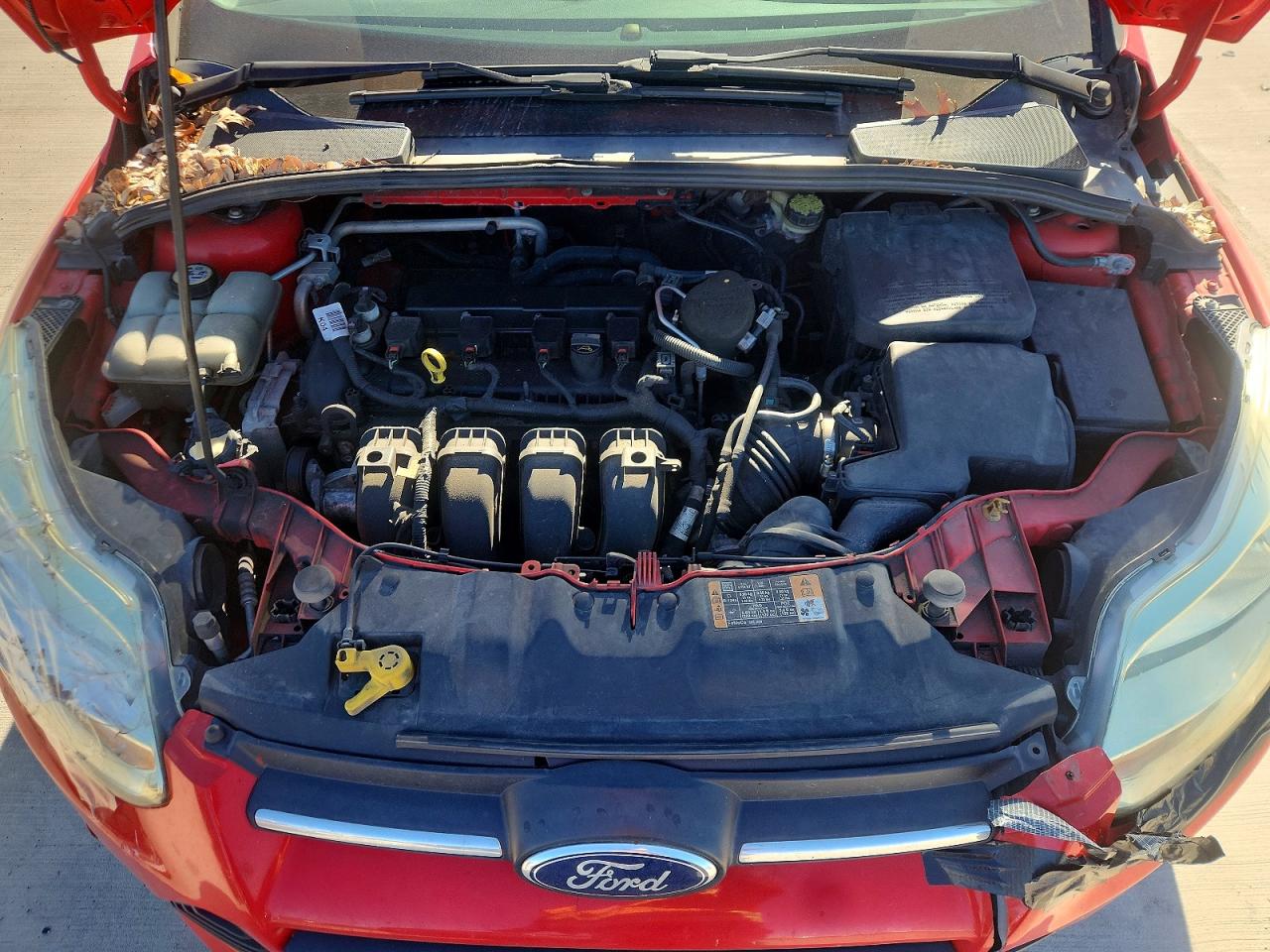 2014 FORD FOCUS SE photo 11
