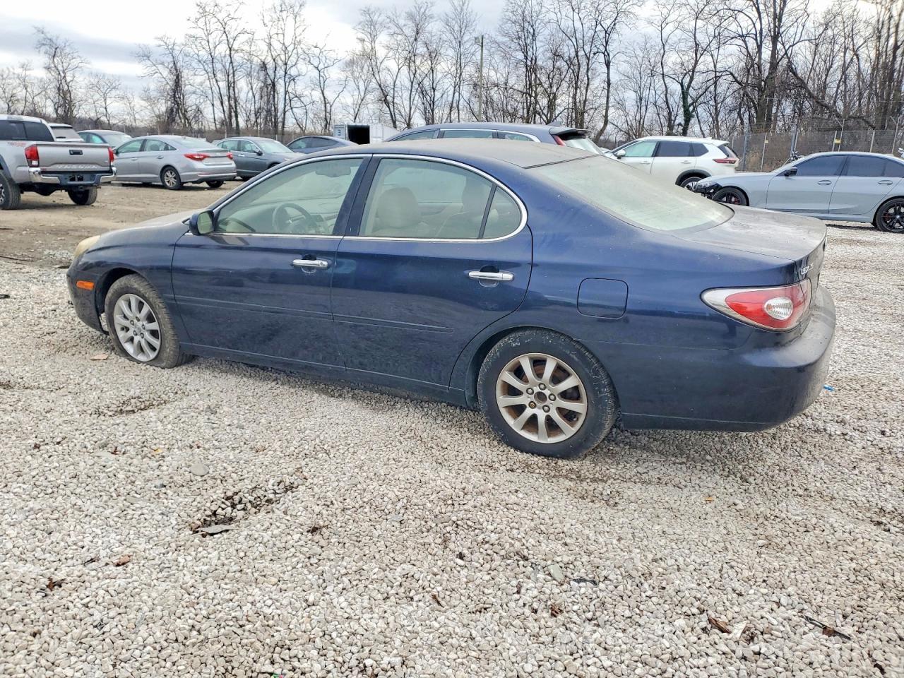2003 LEXUS ES 300 photo 3