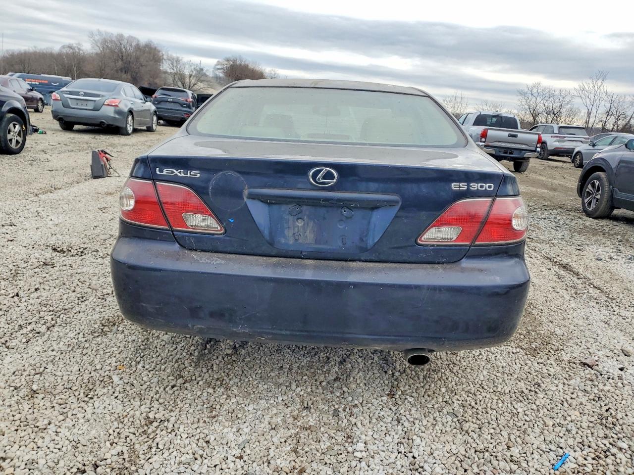 2003 LEXUS ES 300 photo 11