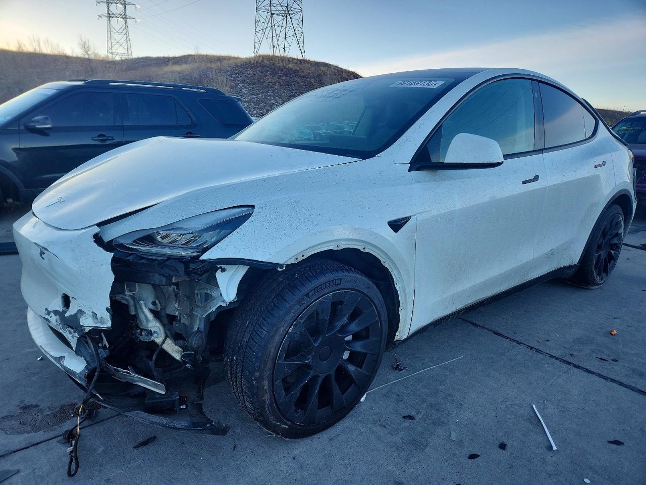 2021 TESLA MODEL Y