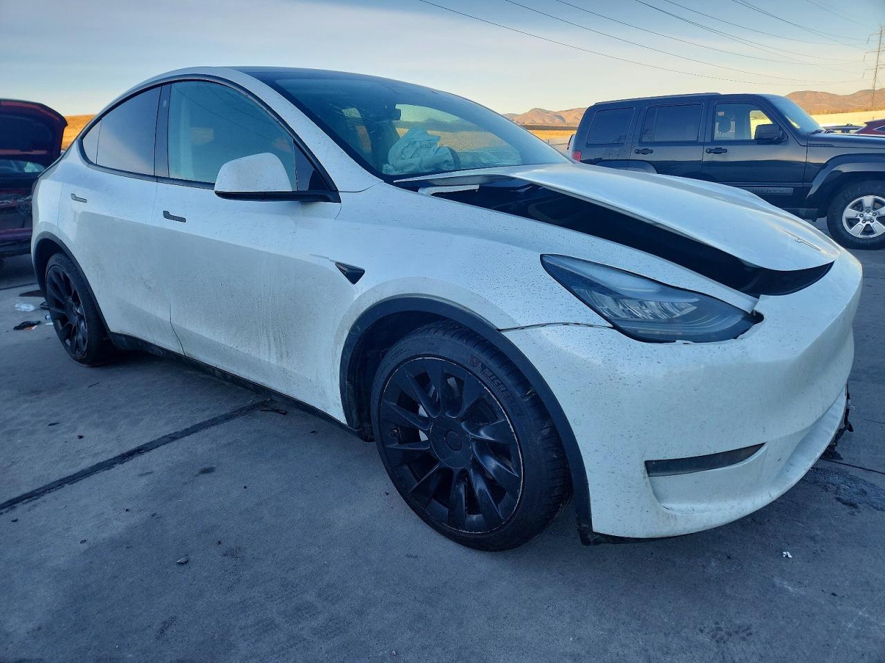 2021 TESLA MODEL Y photo 4