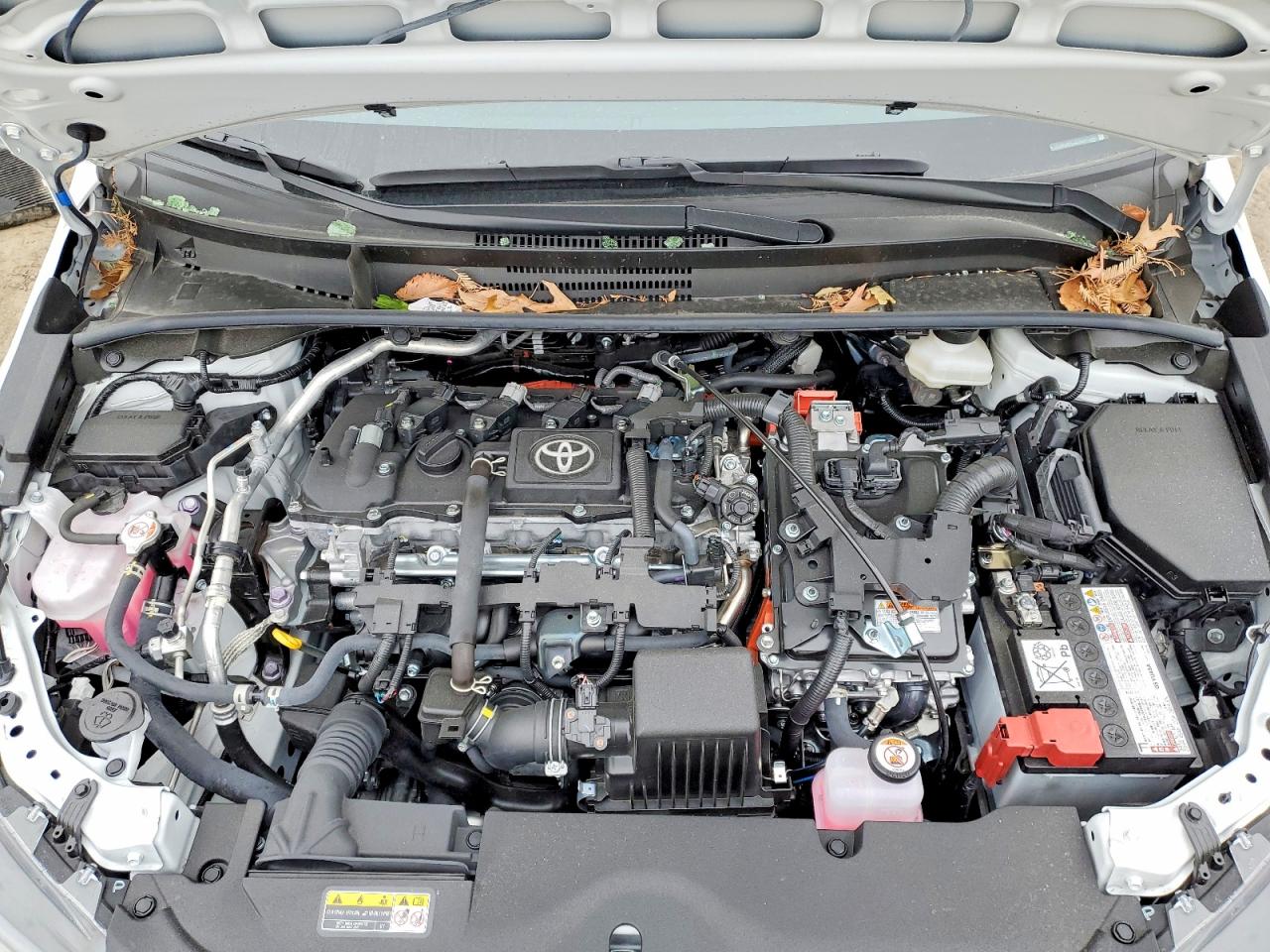 2025 TOYOTA COROLLA LE photo 11