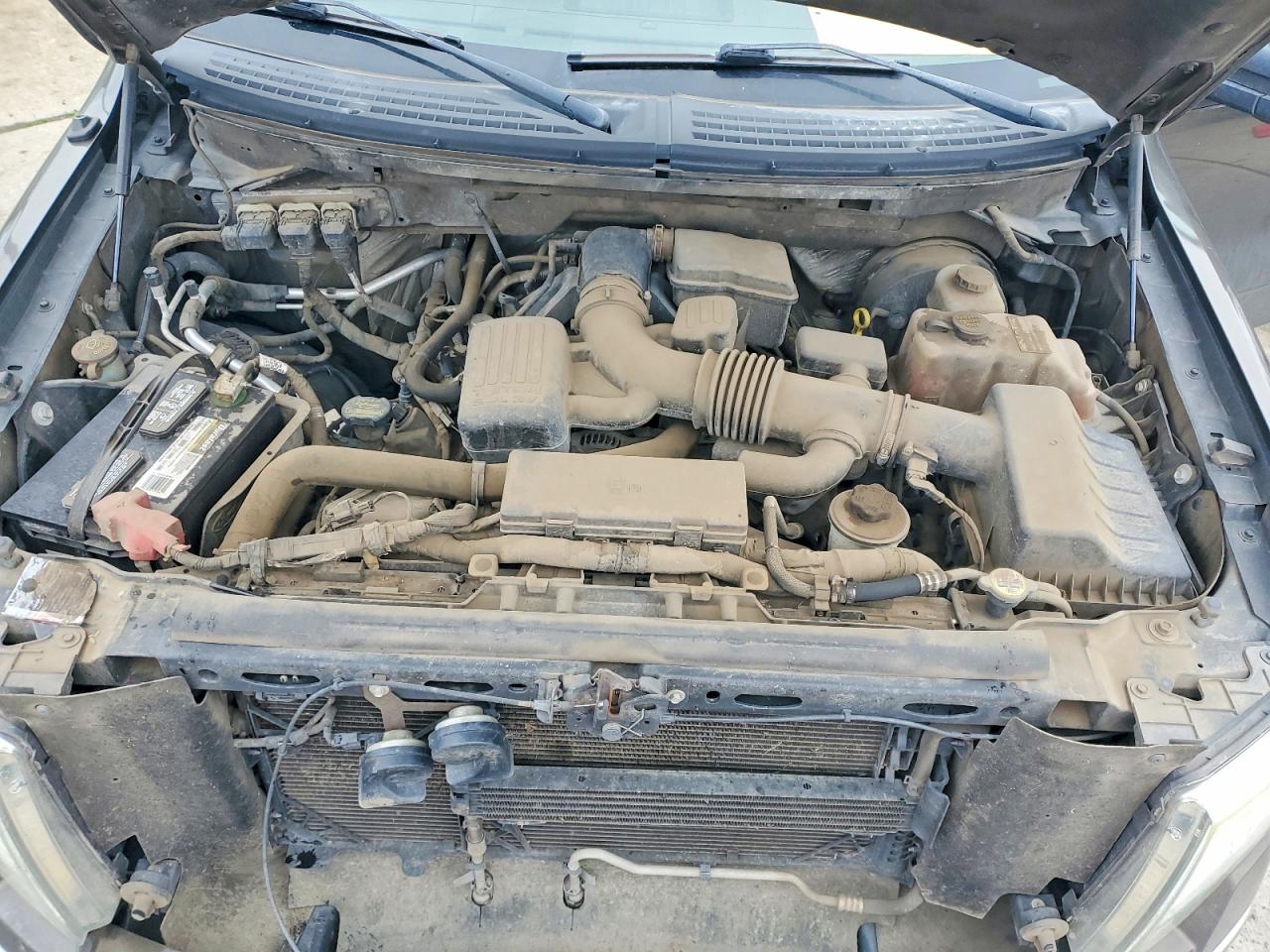 2009 FORD F150 SUPERCREW photo 11