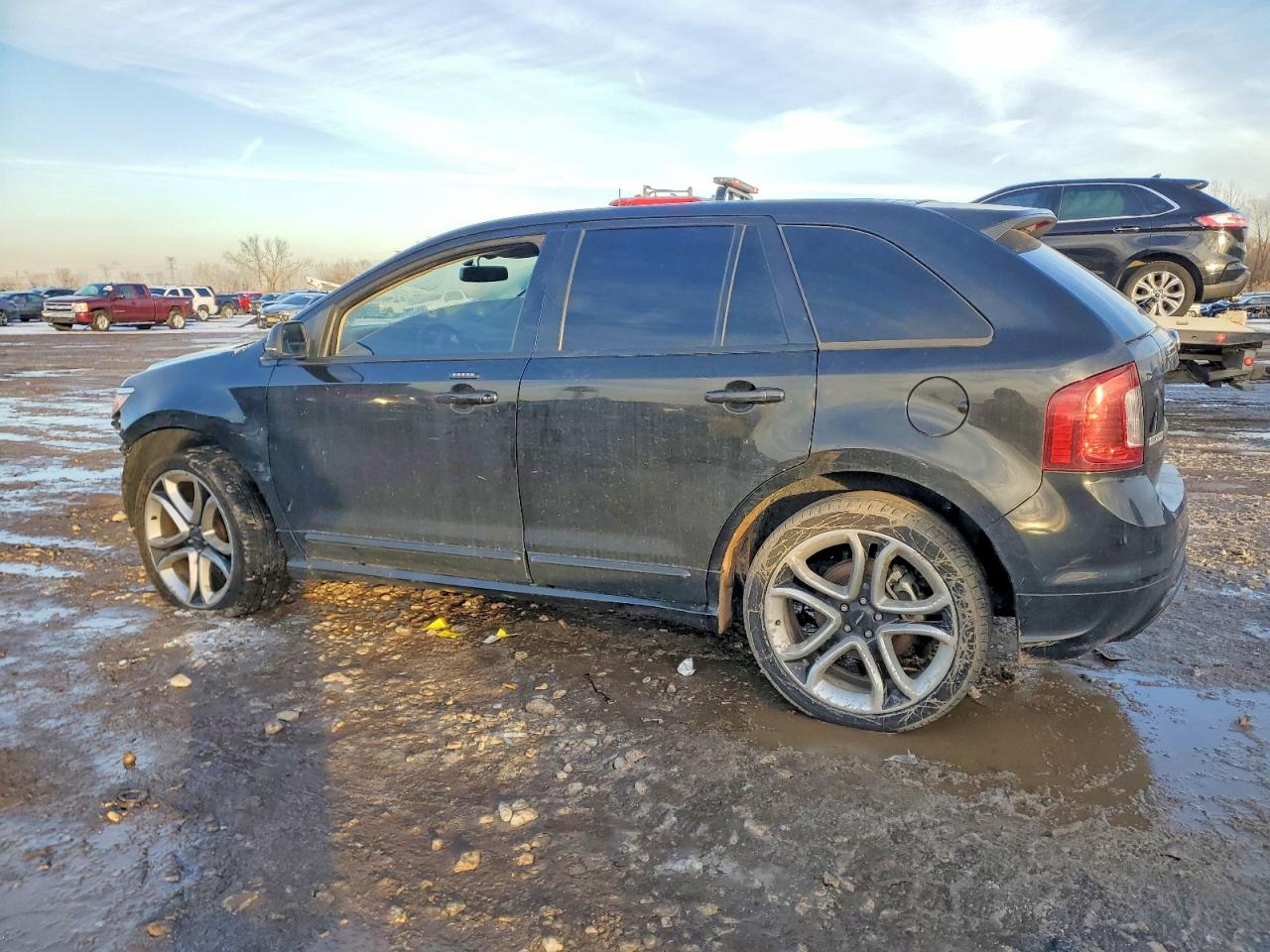 2013 FORD EDGE SPORT photo 3