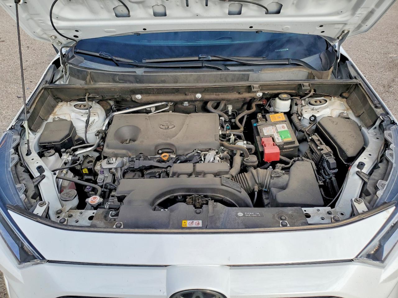 2019 TOYOTA RAV4 XLE PREMIUM photo 12