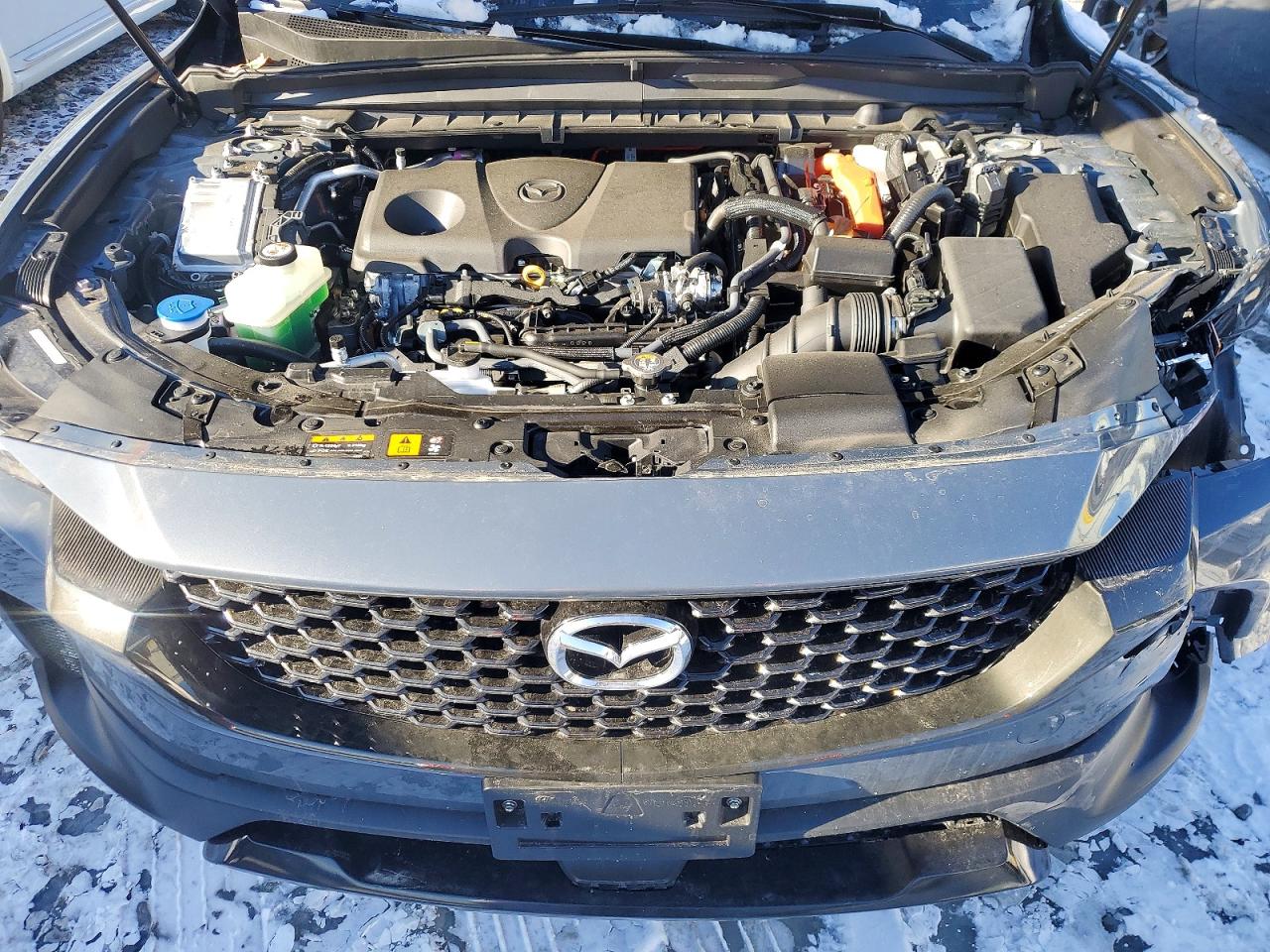 2025 MAZDA CX-50 PREMIUM photo 12