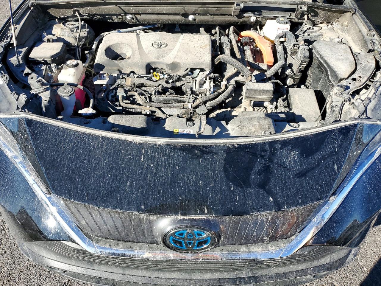 2021 TOYOTA VENZA LE photo 12
