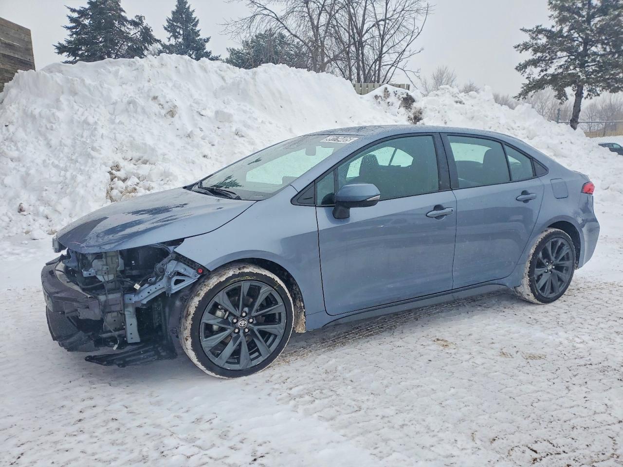 2024 TOYOTA COROLLA