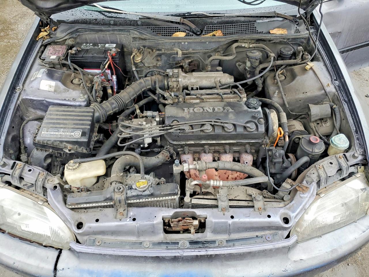 1995 HONDA CIVIC DX photo 11