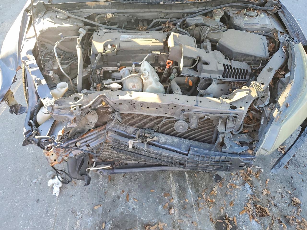 2014 HONDA ACCORD LX photo 11
