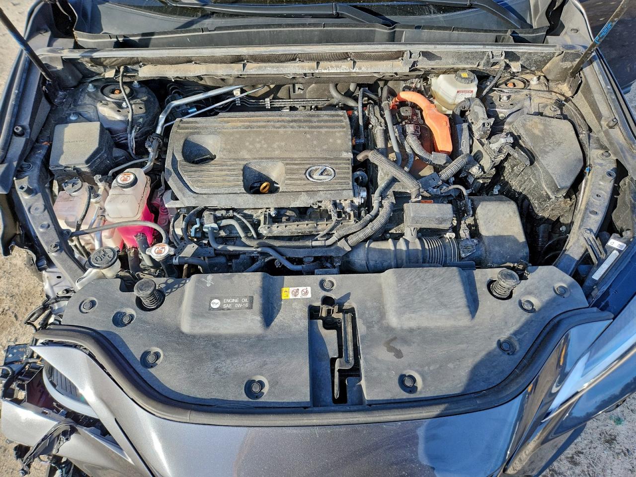 2023 LEXUS NX 350H photo 12