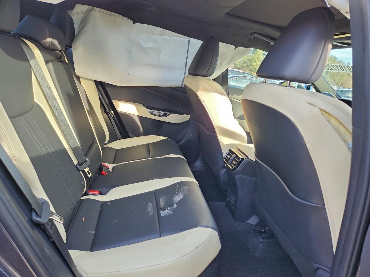 2023 LEXUS NX 350H photo 11