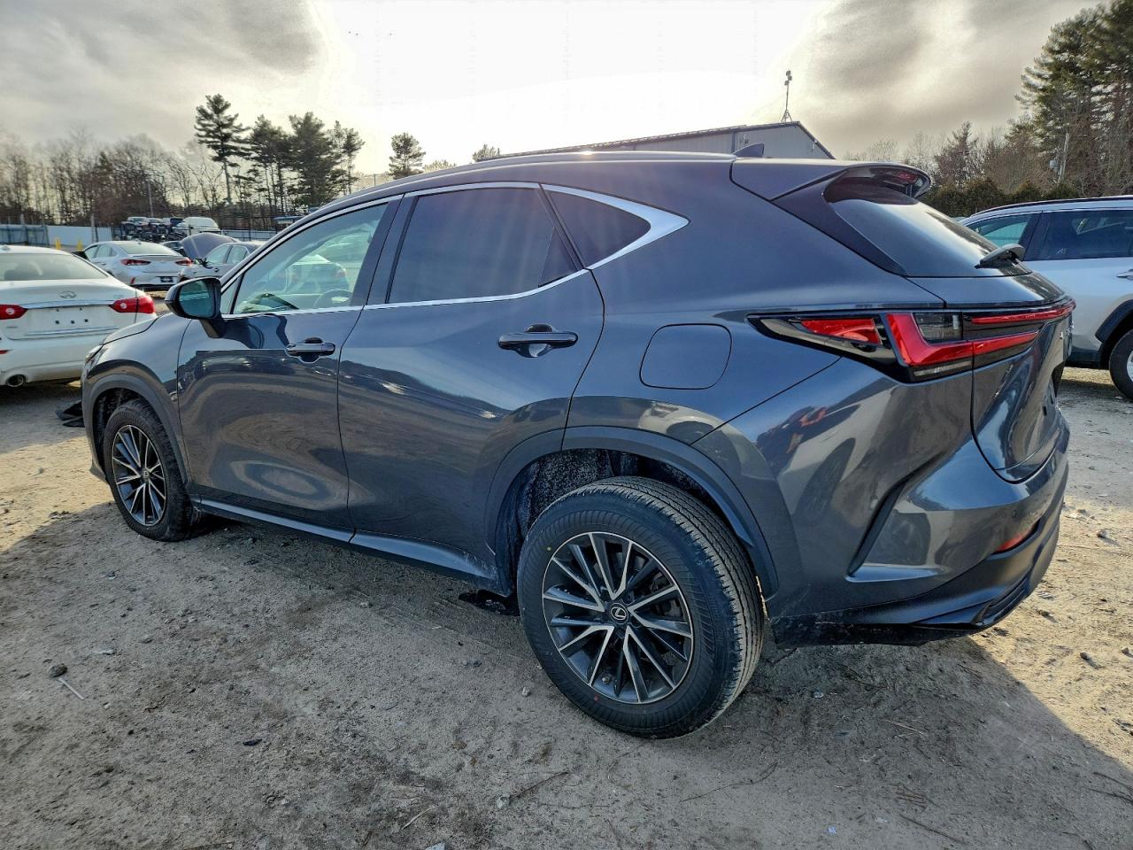 2023 LEXUS NX 350H photo 2
