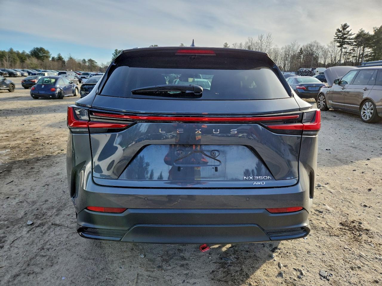 2023 LEXUS NX 350H photo 6