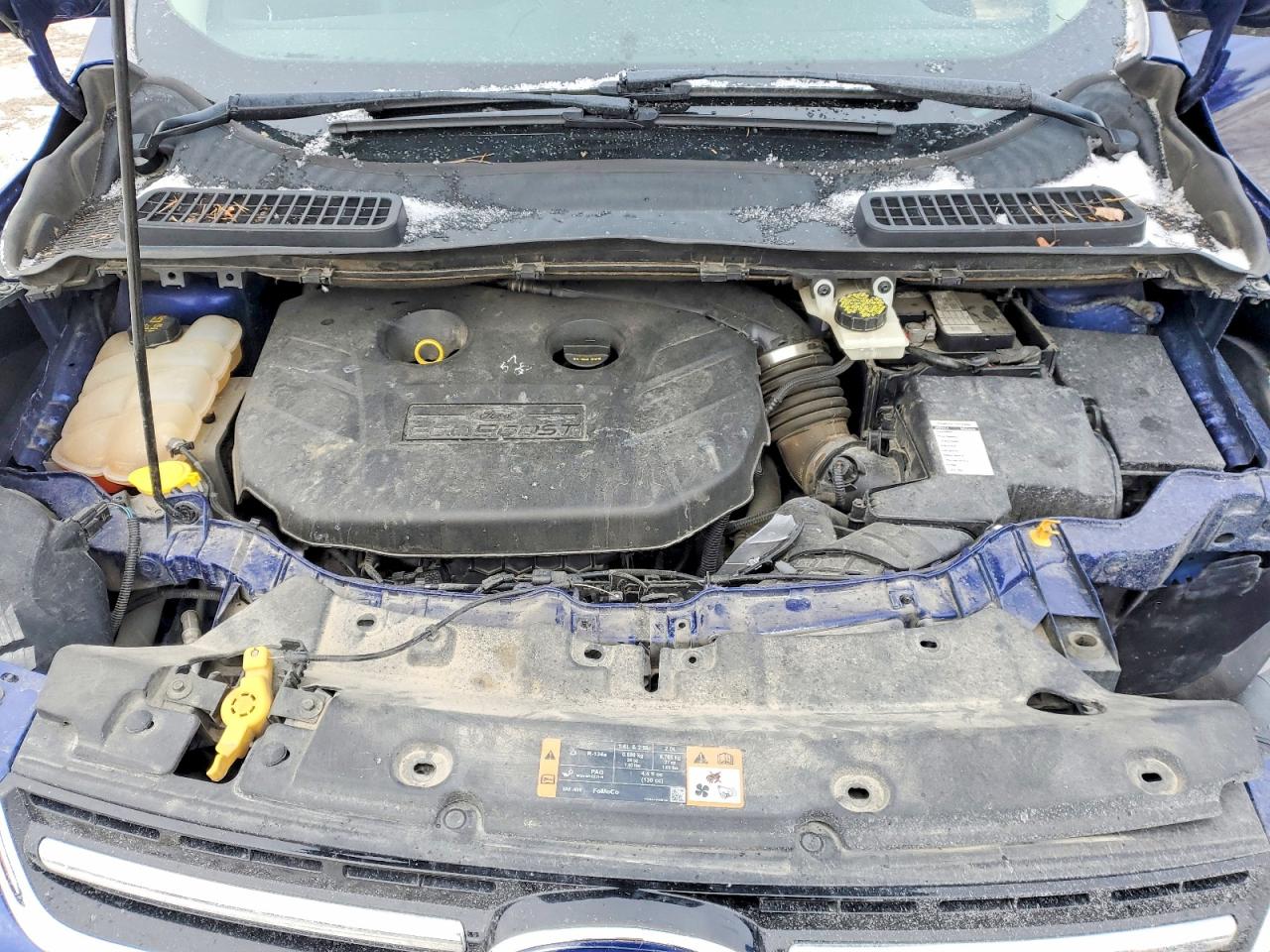 2014 FORD ESCAPE TITANIUM photo 12