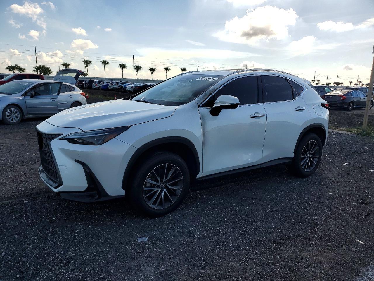 2025 LEXUS NX