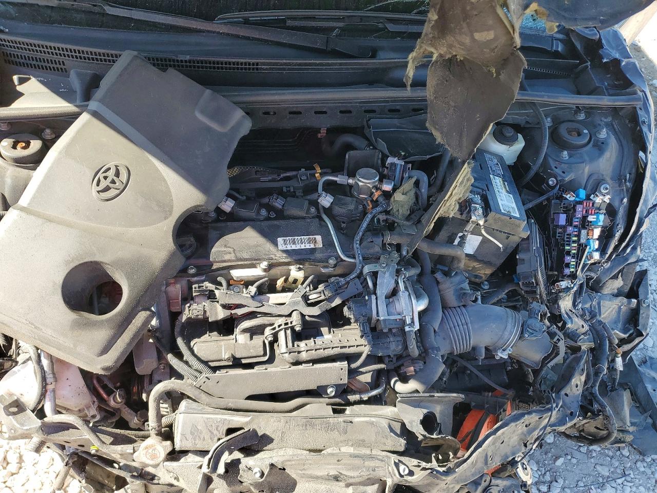 2020 TOYOTA CAMRY LE photo 11