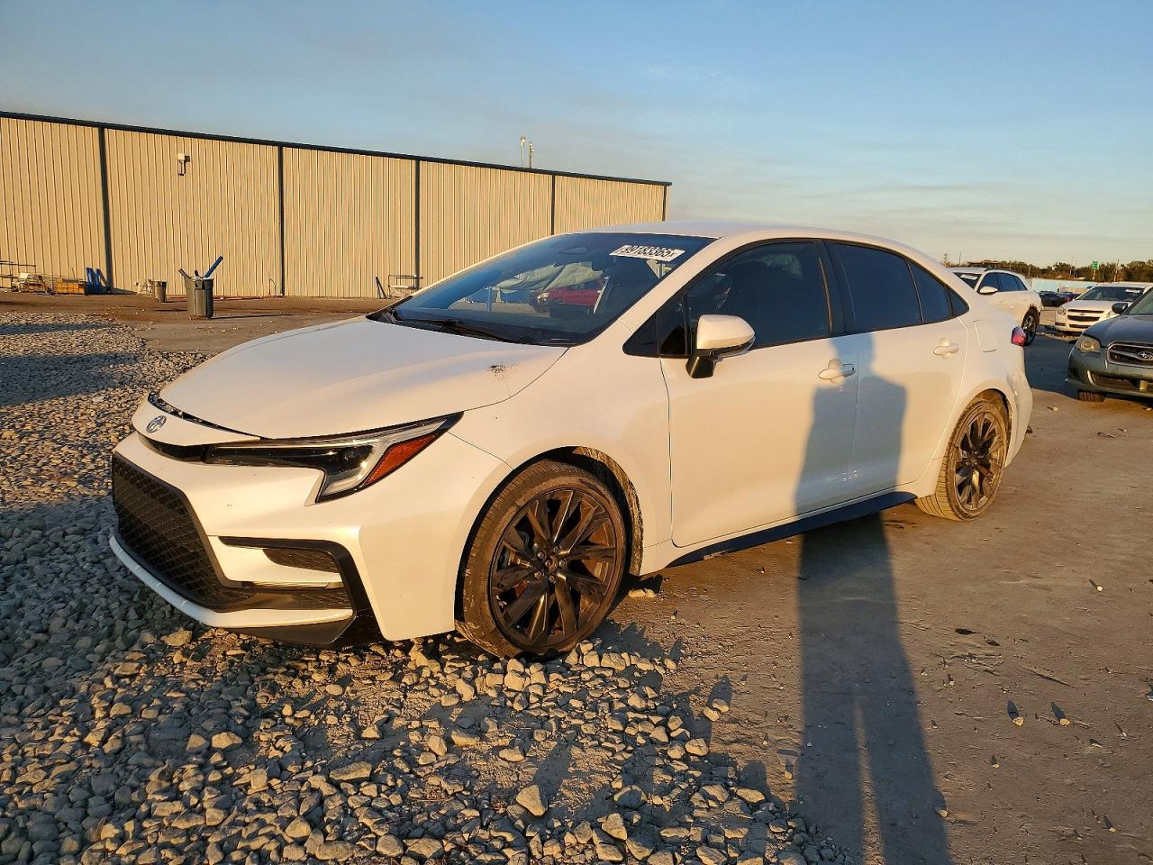 2023 TOYOTA COROLLA