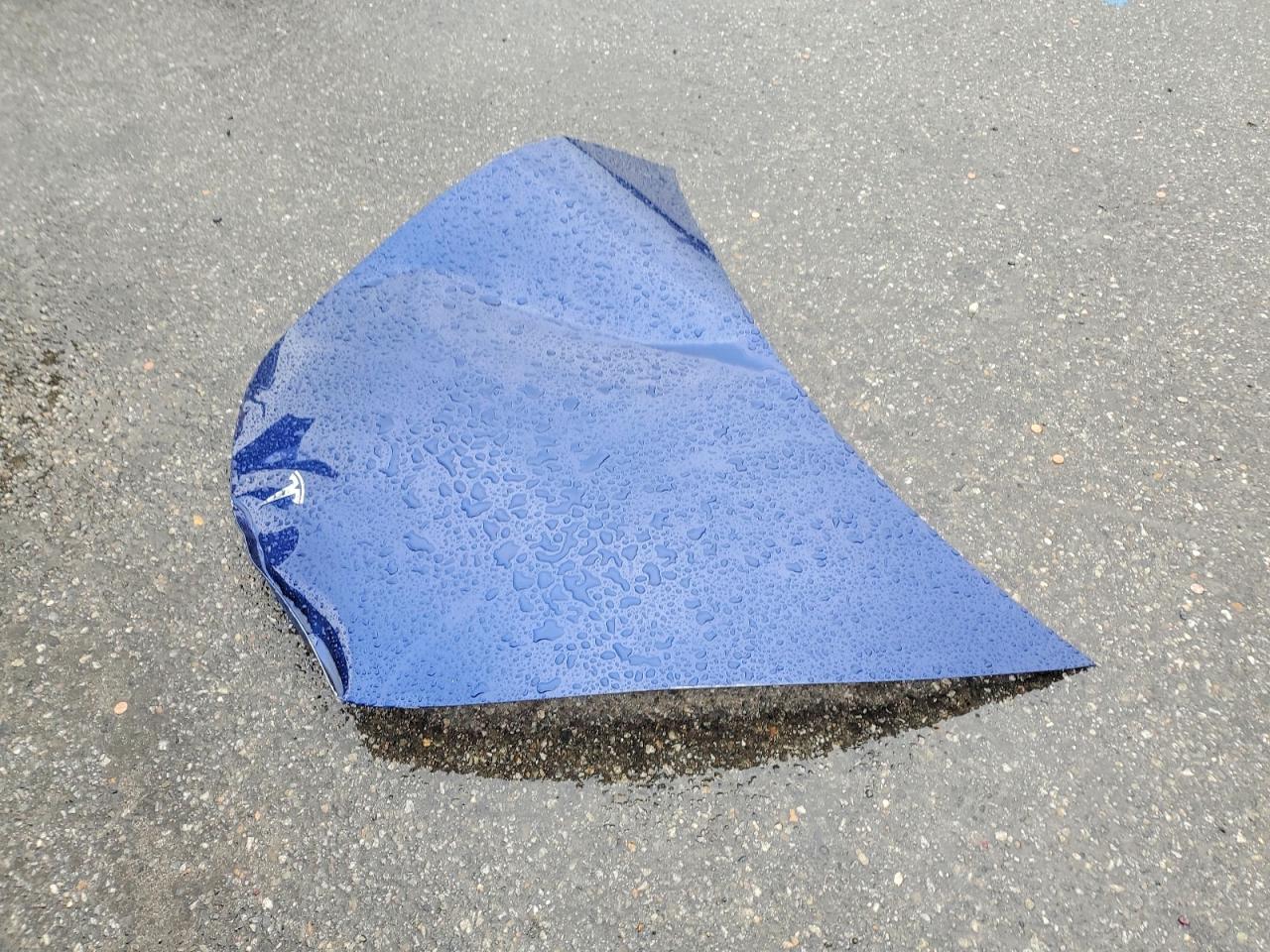 2021 TESLA MODEL 3 photo 12