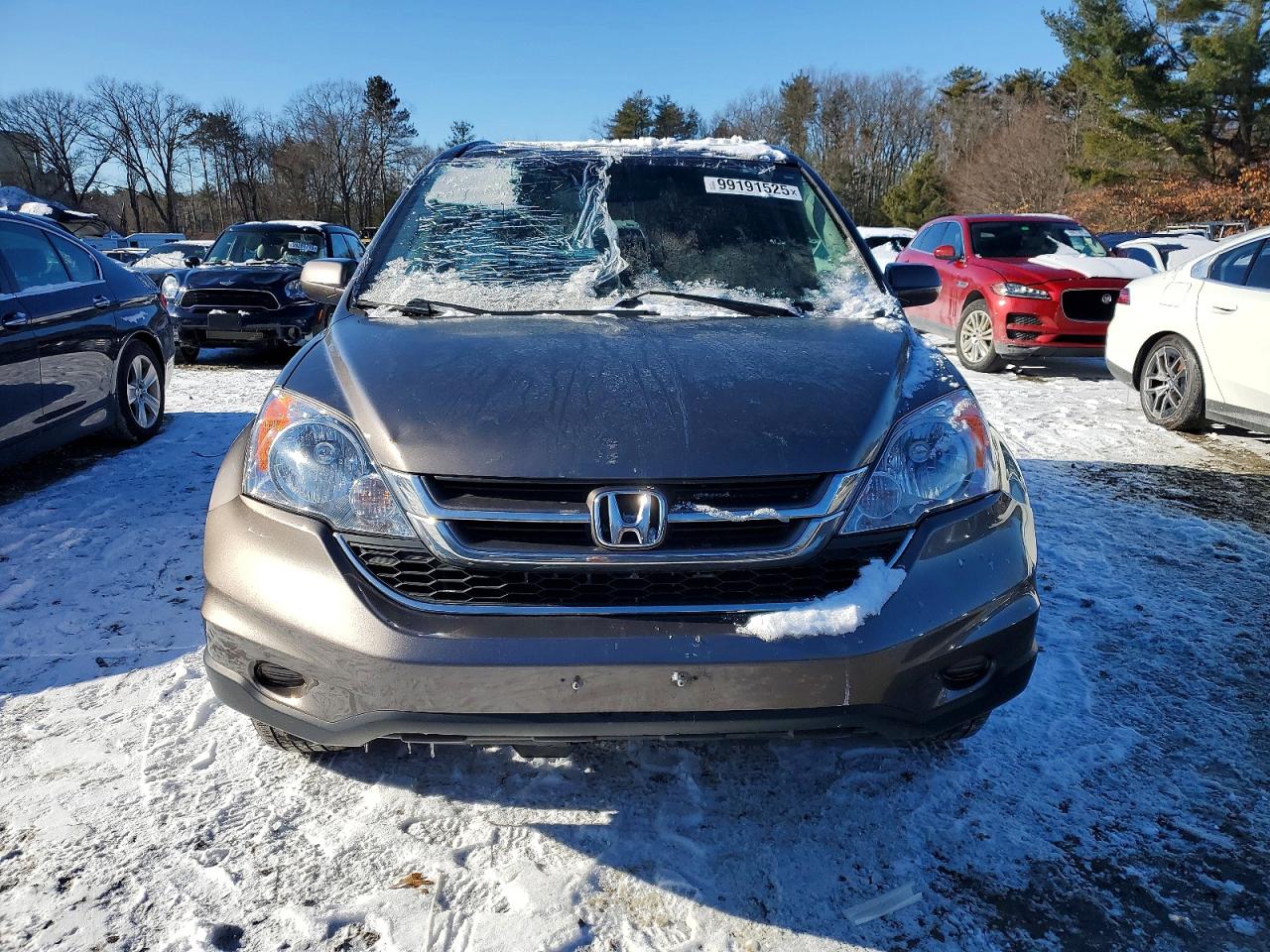 2010 HONDA CR-V EXL photo 5