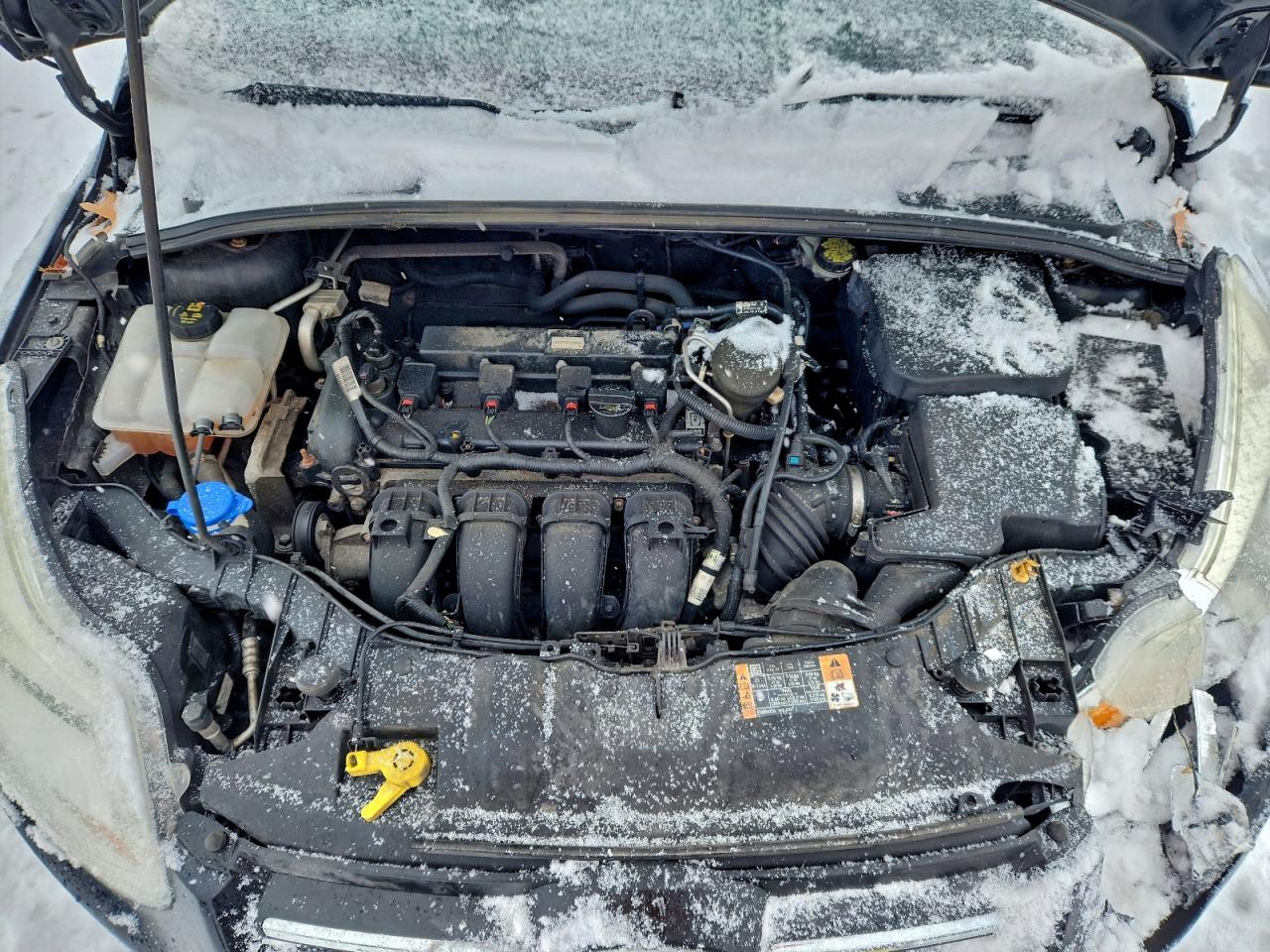 2014 FORD FOCUS SE photo 11