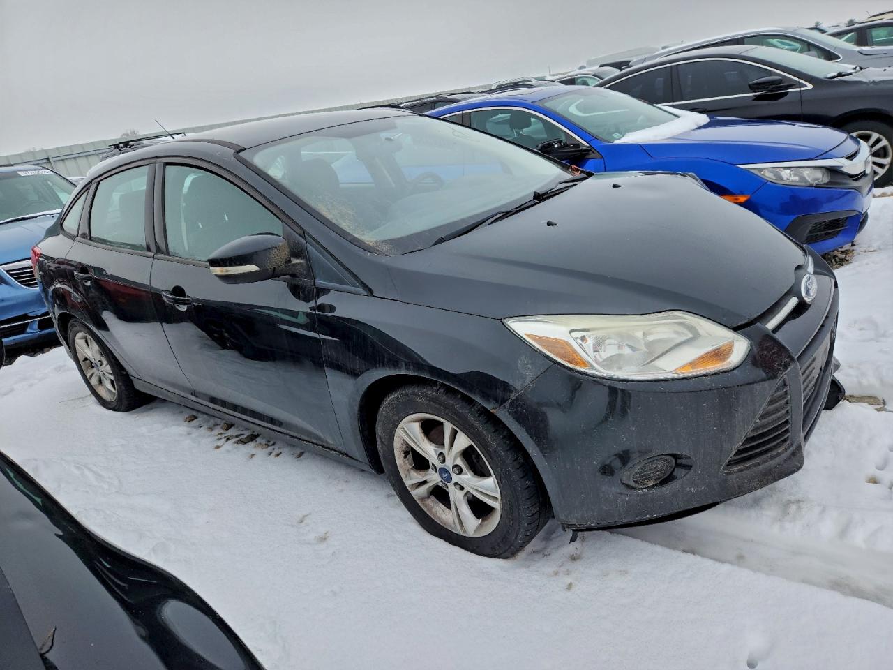 2014 FORD FOCUS SE photo 4