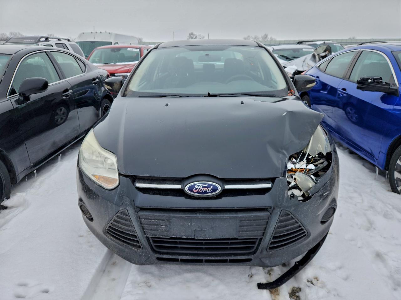 2014 FORD FOCUS SE photo 5