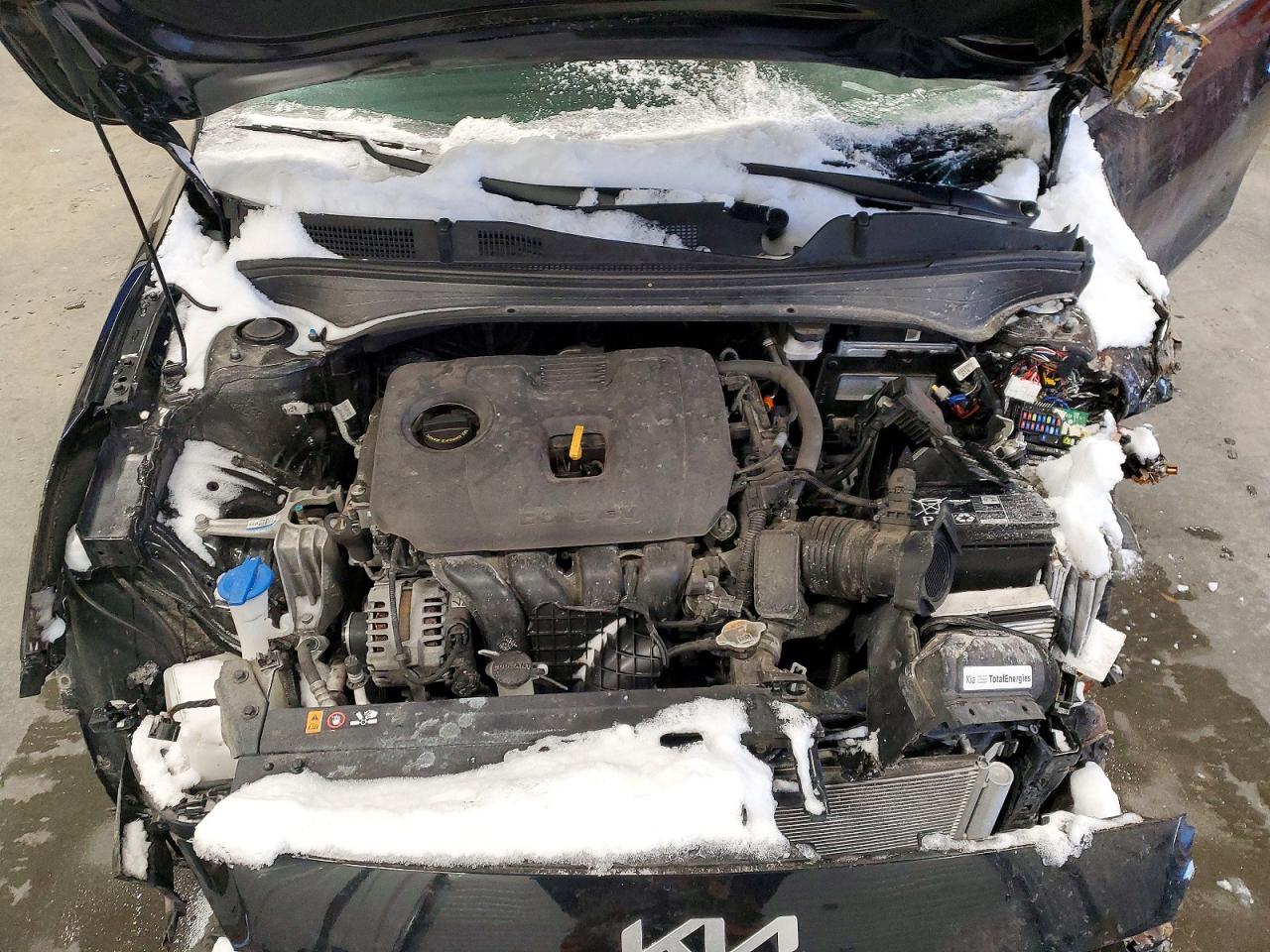 2024 KIA FORTE EX photo 11