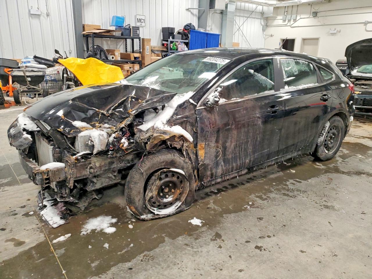 2024 KIA FORTE