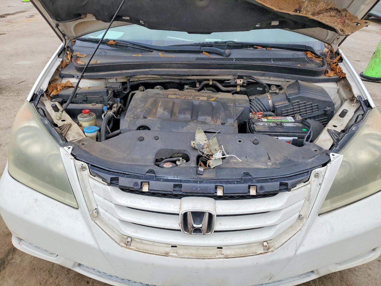 2008 HONDA ODYSSEY EXL photo 12