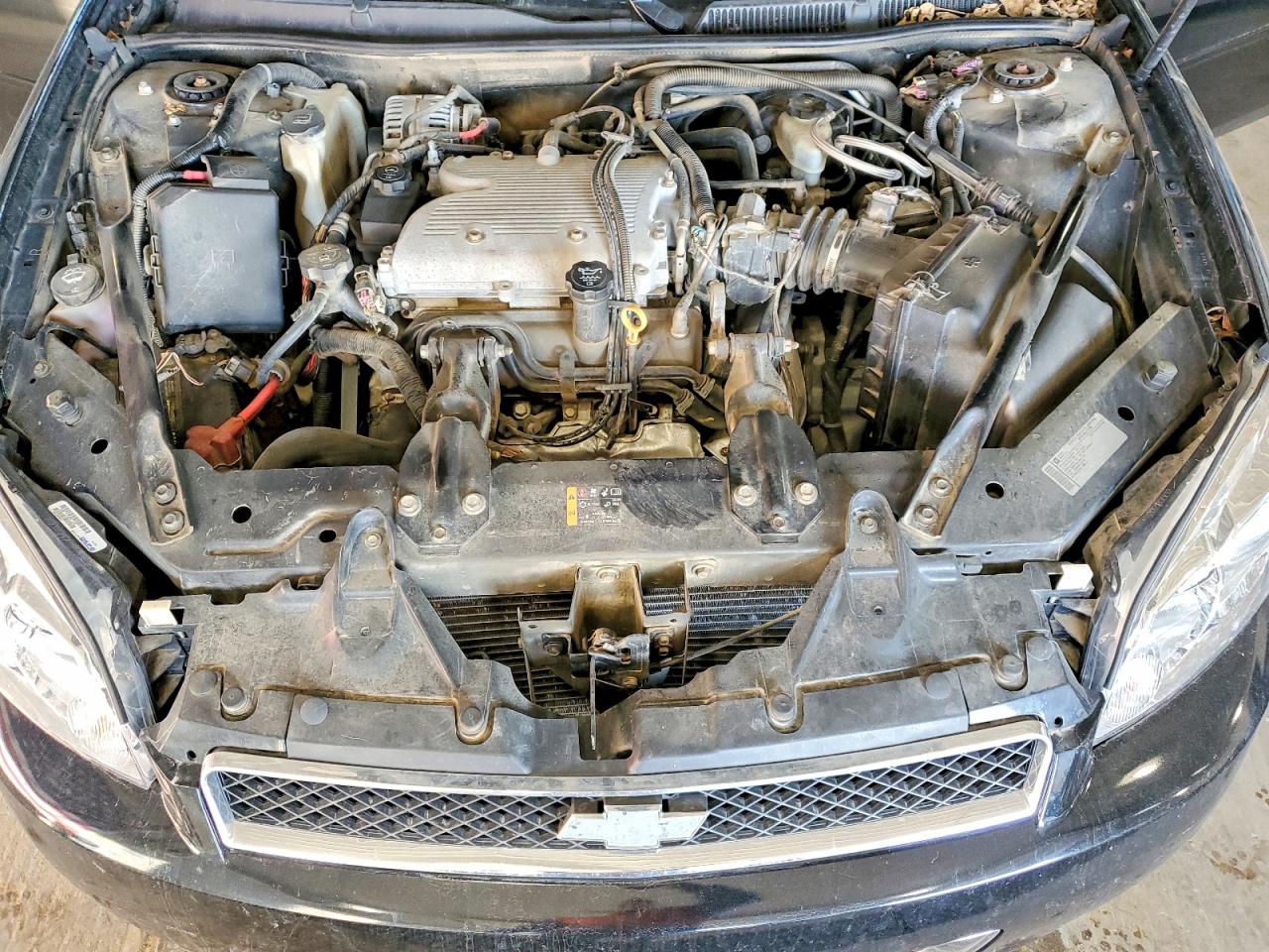 2011 CHEVROLET IMPALA LT photo 11