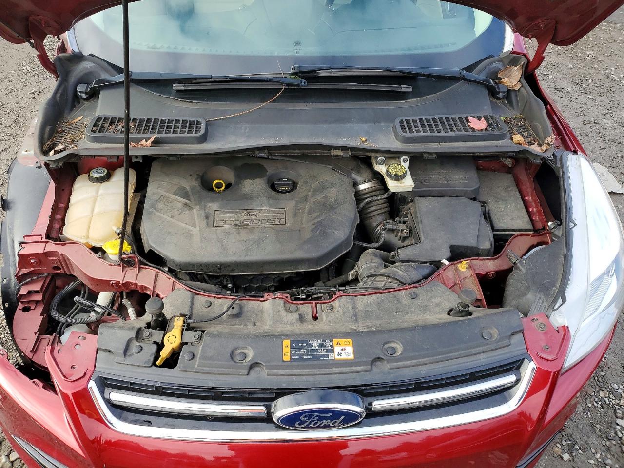 2013 FORD ESCAPE SEL photo 12