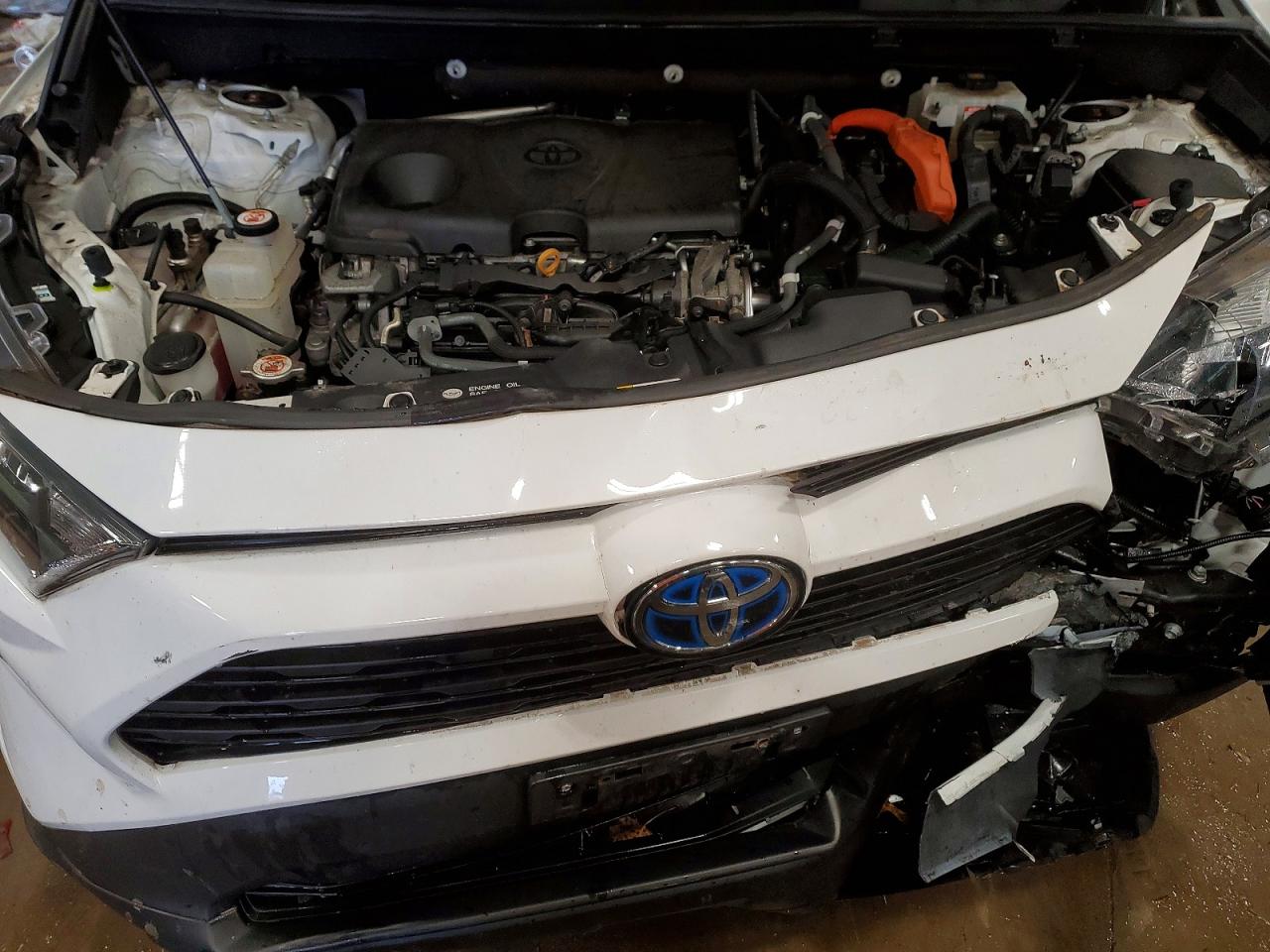 2019 TOYOTA RAV4 LE photo 12
