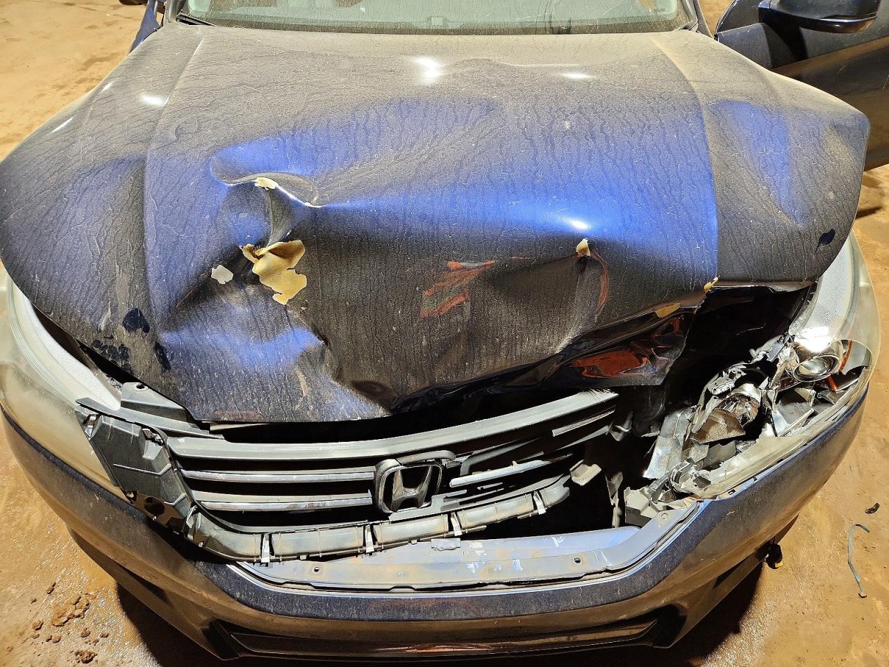 2014 HONDA ACCORD EX photo 11